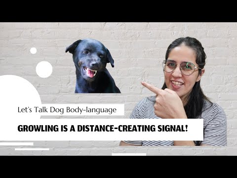 What kind of a signal is "growling"?