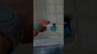 Download lagu Tujhe Dekhe Bina 💔 | Heart Touching Sad Song 🥺 | Emotional Hindi Lyrics 💔😔. mp3