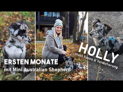 Entscheidung bereuen? Leben mit Hund I Rückblick I Mellis Blog