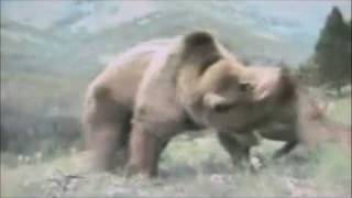 CRO- MAGS - SHOW YOU NO MERCY