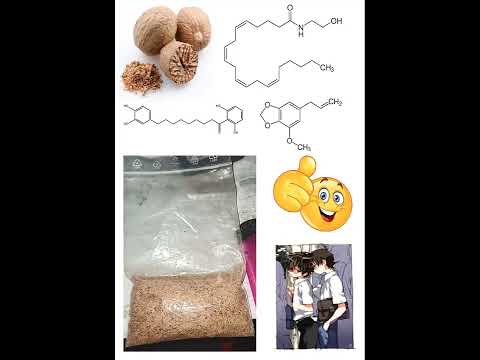 30g muskatnuss trip report