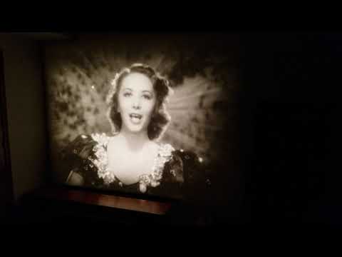 "Only A Rose" - Hollace Shaw