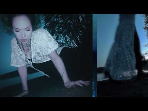 Nomyn & Veela - Bloom