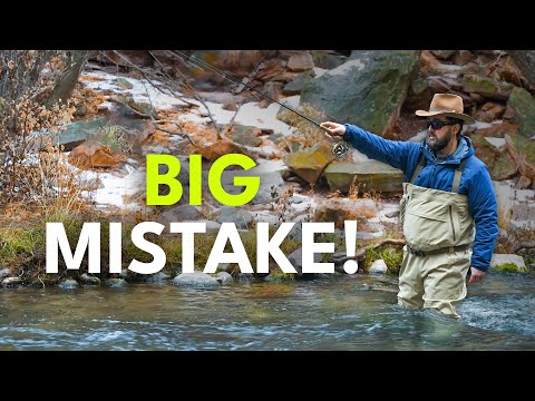 The #1 Reason Trout Won't Eat Your Fly | Ep. 158