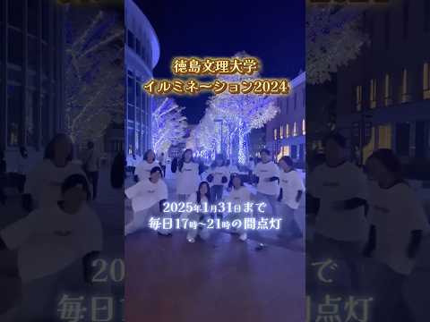 徳島県最大規模のイルミネーション見にきてね【徳島文理大学】#イルミネーション #shorts