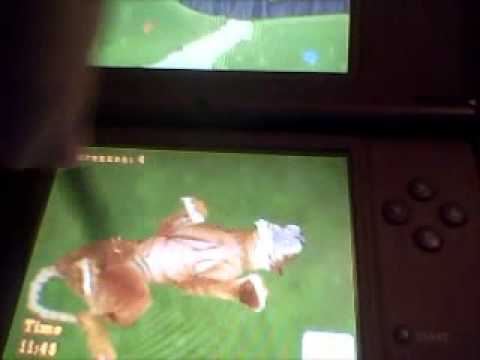 Petz : Wild Animals : Tigerz Nintendo DS
