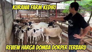 Download lagu REVIEW HARGA DOMBA DORPER F1 SUPER, TEXEL TERBARU DI KURAWA FARM KEDIRI mp3