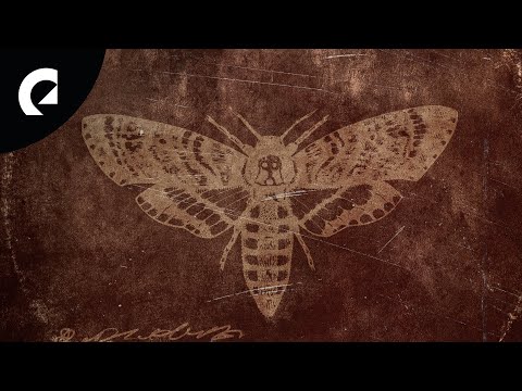 Tigerblood Jewel - So Casual (Royalty Free Music)