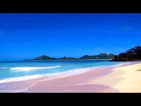 Bruit De La Mer et des Mouettes - HD Plage - Bruit des Vagues