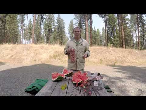 Ammo Selection for 9mm Carbines