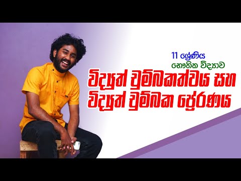 Grade 11 | Electromagnetism and electromagnetic induction | Science With Kasun