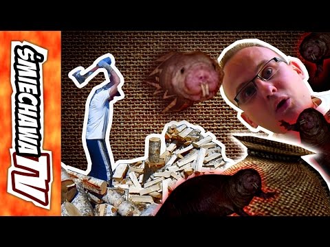 Szumraki "u Szwagra" - Video Dowcip