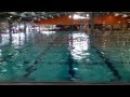 How To Swim Like Animals
