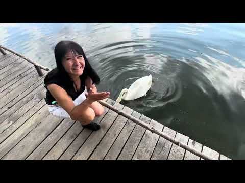 Leśne Pole Biwakowe Sosenka@radzikoweprzypadki