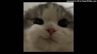 Cover art for best part