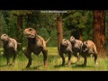 Alpha S Egg Full Episode Part 7
