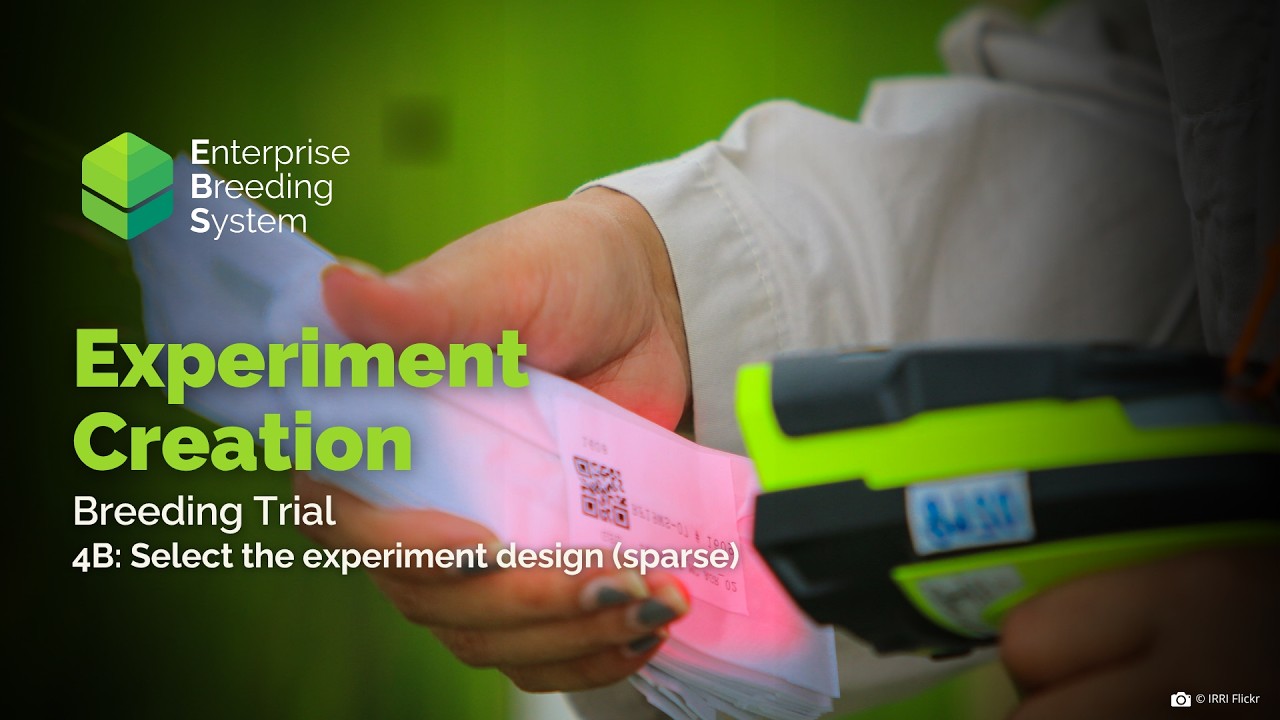 EBS Tutorial: Experiment Creation (Breeding Trial P4B)