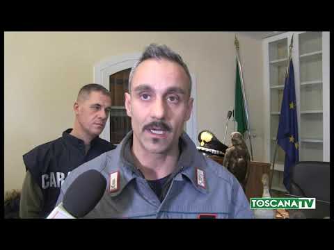 2019-01-17 FIRENZE - DENUNCIATO PENSIONATO PER BRACCONAGGIO