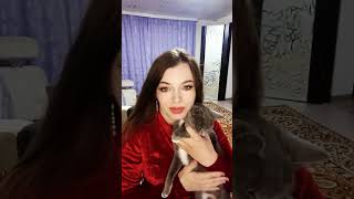 Download lagu Bigo Live Highlights | ID: 94348749 | Funny & Viral Moments | StreamVibe Highlights mp3 Download lagu Bigo Live Highlights | ID: 94348749 | Funny & Viral Moments | StreamVibe Highlights mp3