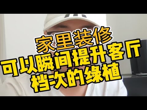 客廳綠植
