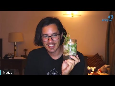 Day 280 Edición en Español - BIENESTAR - Spanish edit- Matias De Stefano