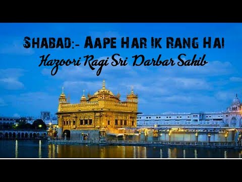 Aape Har Ik Rang Hai:- Hazoori Ragi Sri Darbar Sahib|(OFFICIAL AUDIO)|White Studio's|Shabad Gurbani