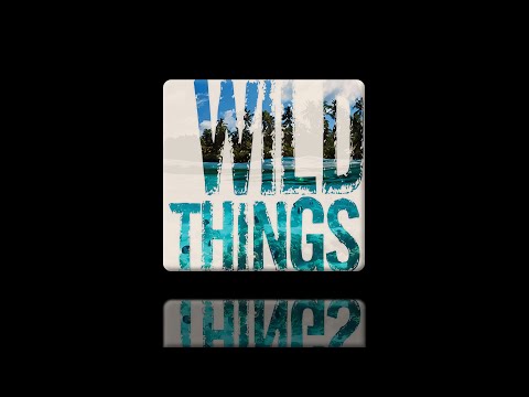 Wild Things by Gary P. Gilroy [Marching Band]