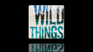 Wild Things by Gary P. Gilroy [Marching Band]