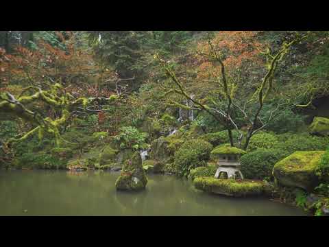 Oregon Moment Of Zen: Portland