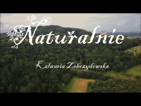 NATUR Alnie - Kalwaria Zebrzydowska