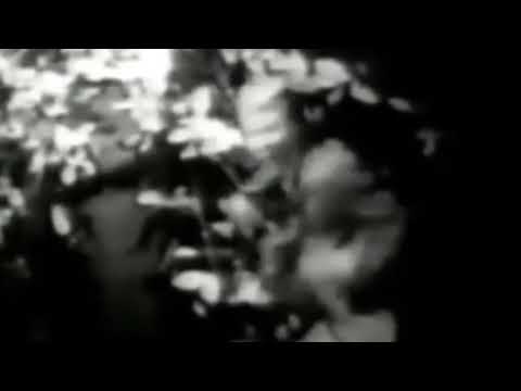 The Trashmen- “Surfin’ Bird” (American Bandstand Performance, 1963 or 1964)