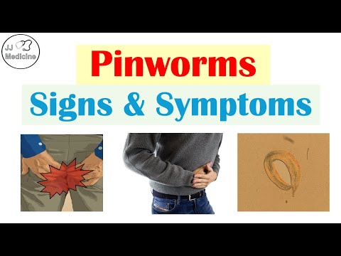 Pinworm Infections Signs & Symptoms (& Why They Occur)