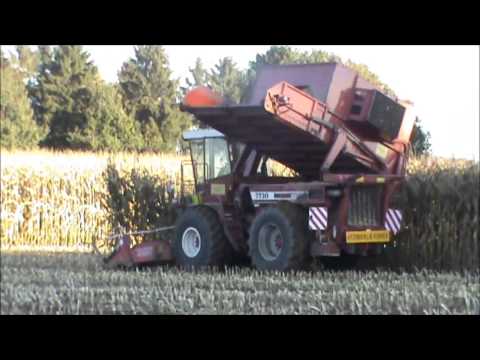 Landb. Dumortier - Heverlee - Hesston 7730 Jumbo