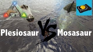 Ark Insight -- Plesiosaur VS Mosasaurus