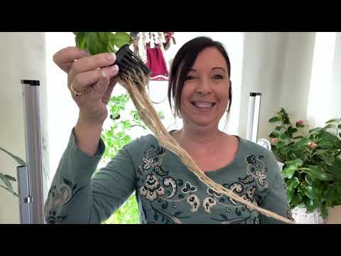 iHarvest Indoor Garden Works - Review