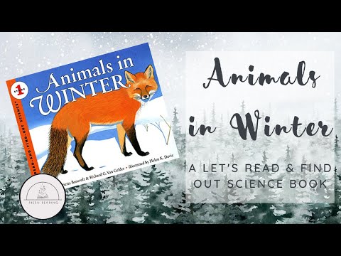 🦊🌨️ANIMALS IN WINTER🌨️🦊Nonfiction Winter Science Read Aloud Book for Kids