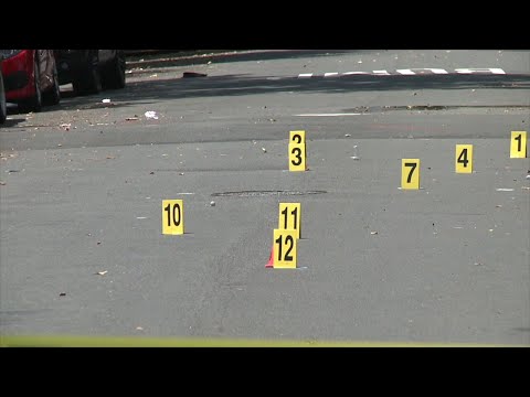 Gun Trafficking & Crime Prevention