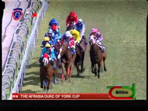 LOVE STRUCK (S.BROWN) - GOLD CUP 2014 - MOHAMMAD MOORAD KEERPAH - FREE HORSE RACING TIPS