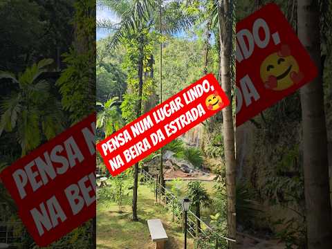 Assista ao vídeo