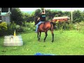 Bridling Lady And Riding Bareback
