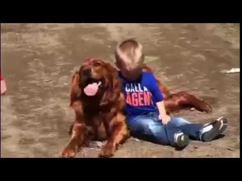 Driscoll Farms | Glyndon, MN | Behind The Scenes