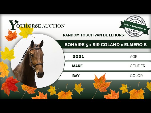 Random Touch van de Elhorst