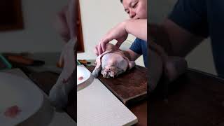 Re: [閒聊] 全雞不剖開身體去骨然後塞飯進去