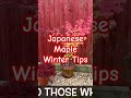 Japanese maple trees, winter tips #japanesemaple #plants #japanesetree #gardening #maple