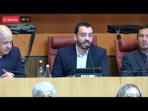 Risposta à u ghjudicamentu di u TA di caccià a lingua corsa di l'Assemblea  - Petr'Antò Filippi