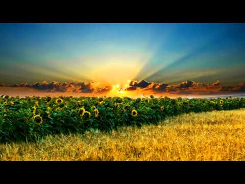 Ancientmind - Sahmeran (Space Garden Remix) HD