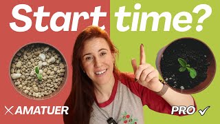 Seeds Pros Start vs Seeds Beginners Should Start (Month-by-Month Guide)