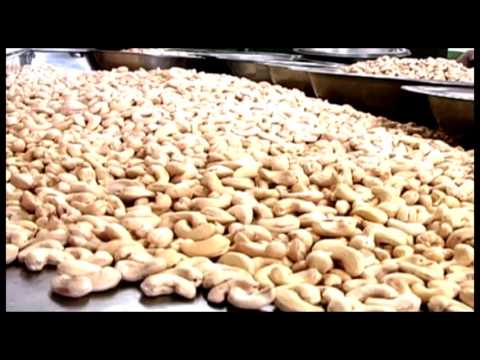 download lagu mp3 mp4 Costco Kirkland Cashews, download lagu Costco Kirkland Cashews gratis, unduh video klip Costco Kirkland Cashews