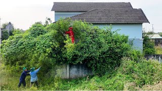 Download lagu Buried for 10 Years, Reborn in 5 Days — The Abandoned Villa Transformation mp3 Download lagu Buried for 10 Years, Reborn in 5 Days — The Abandoned Villa Transformation mp3