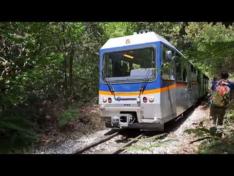 Odontotos Rack Train, 1